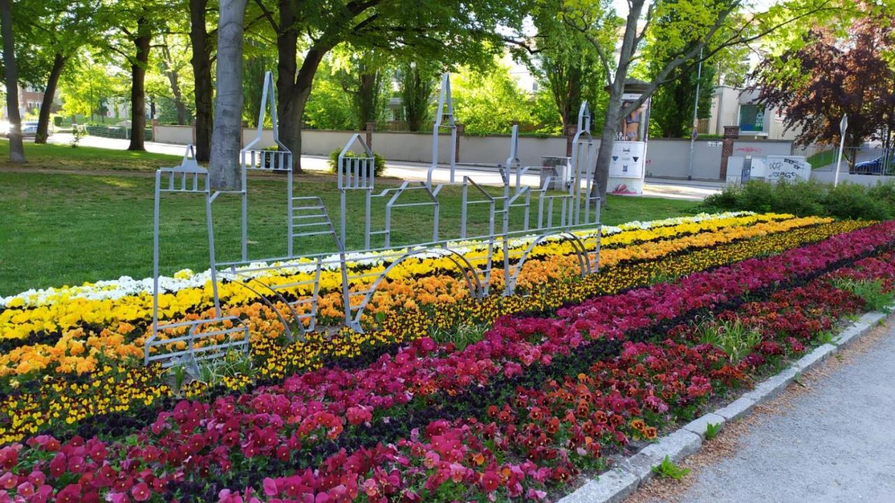 Alte Baeckerei Bautzen - 01 #Family# Im Zentrum, Mit Parkplatz, Top Ausgestattet Luaran gambar